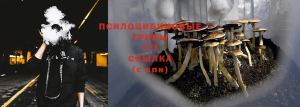 винт Усмань
