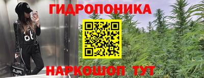 прущие крисы Комсомольск-на-Амуре
