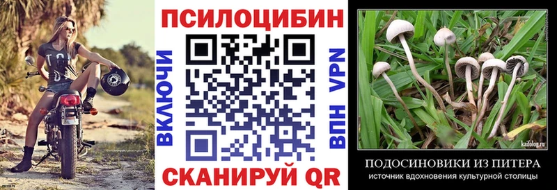 Галлюциногенные грибы MAGIC MUSHROOMS где купить наркоту omg Шатура