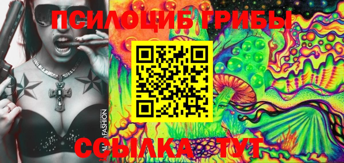 Псилоцибиновые грибы мицелий  Вход с VPN  Шатура 