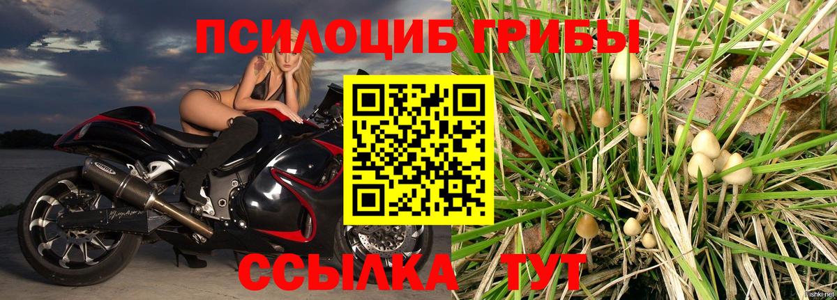 Галлюциногенные грибы MAGIC MUSHROOMS Шатура