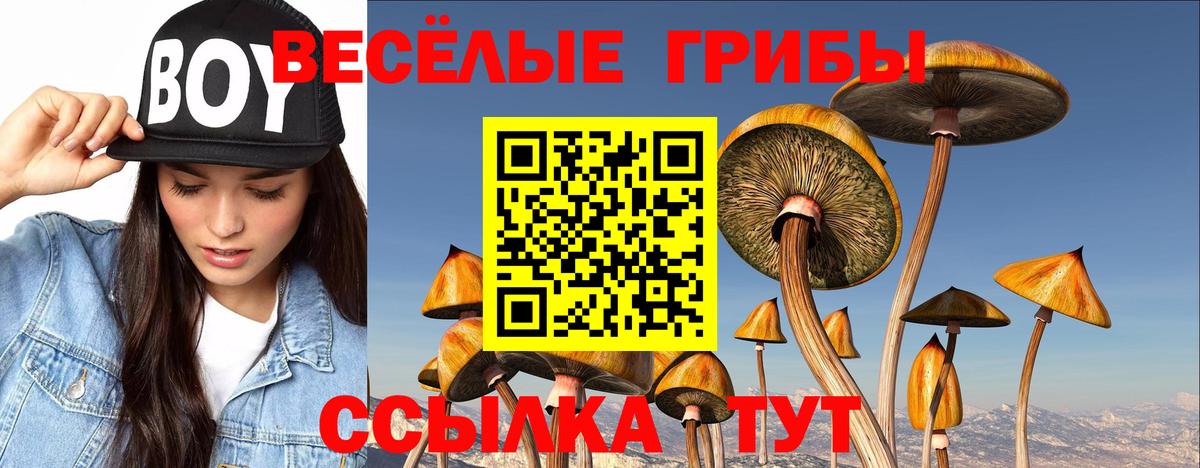 Галлюциногенные грибы GOLDEN TEACHER Шатура